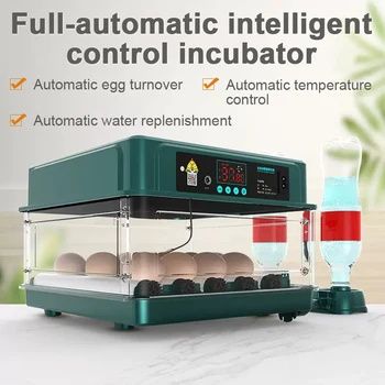 Инкубатор за инкубация 15 яйца Напълно автоматичен ротационен инкубационният една квачка farm птица пъдпъдъци пиле инкубатор на птицеферма струг инкубационният инструмент