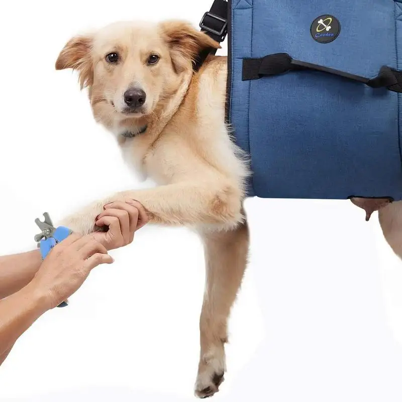 Шлейка за повдигане на кучета Регулируема дишаща перевязь за носене на задните крака, поддръжка на бедрата, аксесоари за домашни любимци при травми на ставите по-възрастните кучета на улицата